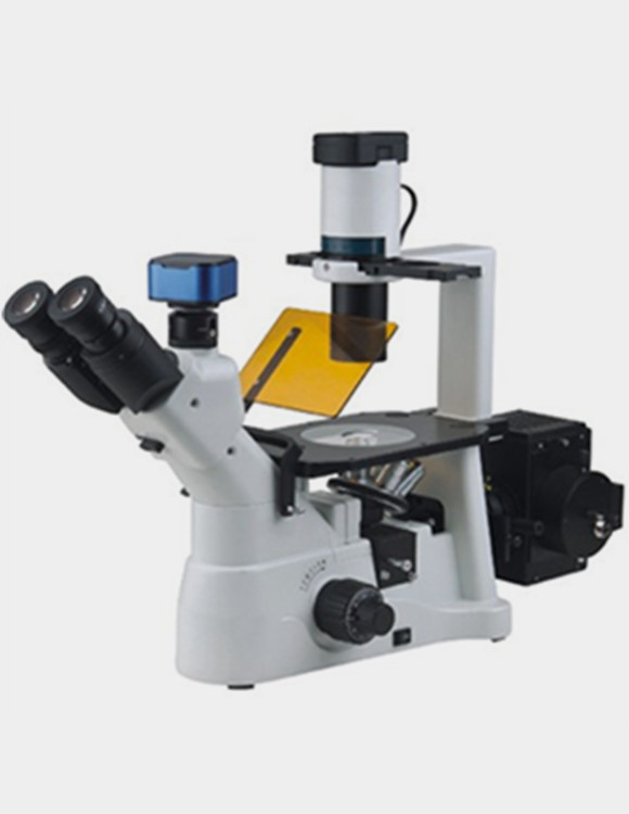 WMS-3680倒置生物顯微鏡