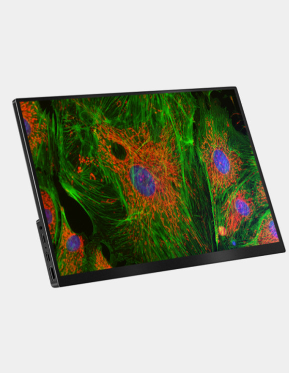 WM610顯微鏡平板相機(jī)