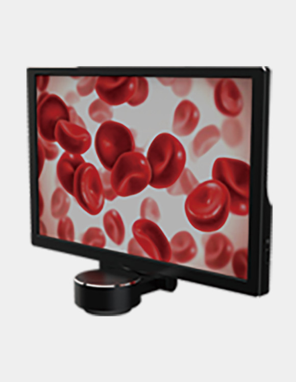 WM510顯微鏡平板相機(jī)