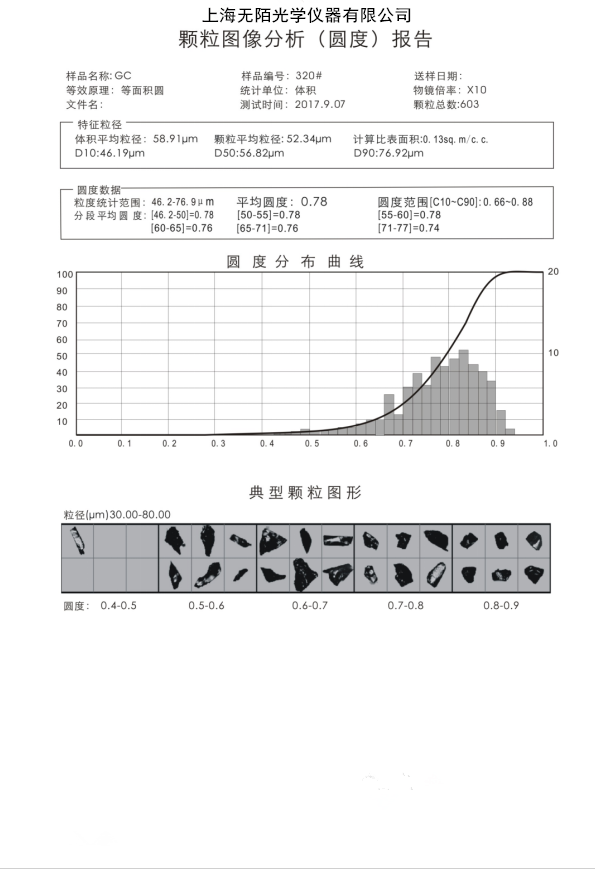 1-210416141S1438 1-210416141S1438
